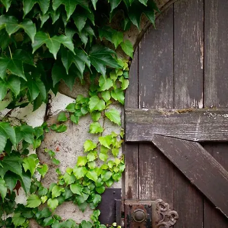 Obere Muehle - Scheunenwohnung Mitten Im Gruenen 公寓 *