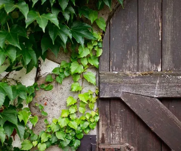 Obere Muehle - Scheunenwohnung Mitten Im Gruenen Apartmán *