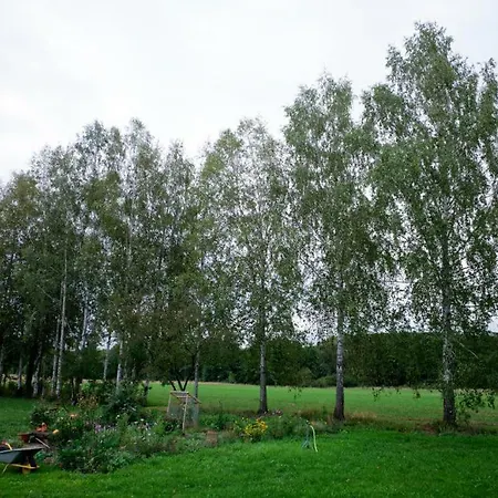 Apartamento Obere Muehle - Scheunenwohnung Mitten Im Gruenen